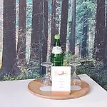 Apartamento Treseburg 