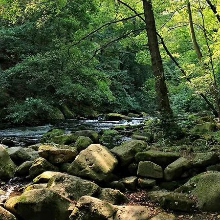 公寓 Treseburg 