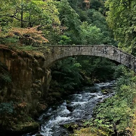 公寓 Treseburg 