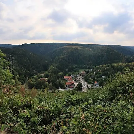 公寓 Treseburg 