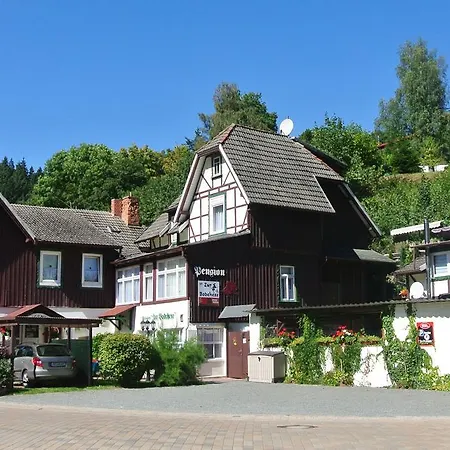 公寓 Treseburg 